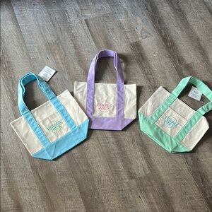 Spring Trader Joe’s mini tote- Blue, Purple, Green